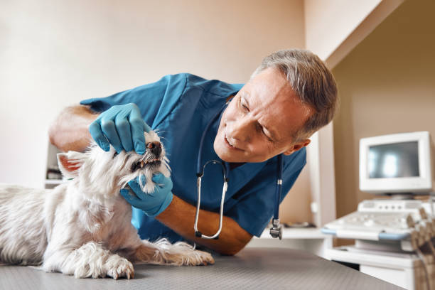 Best Emergency Tooth Extraction in La Grange, TX